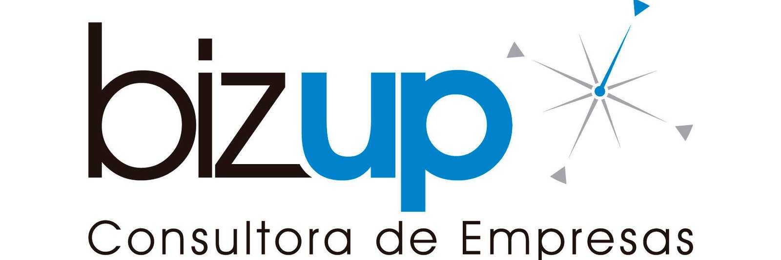 Bizup Consultora logo